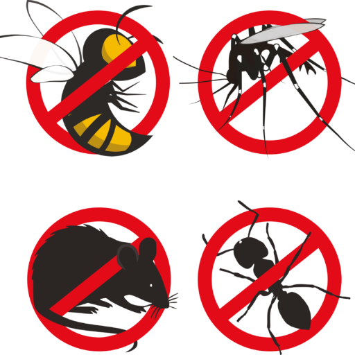 Fichier 4logo accueil