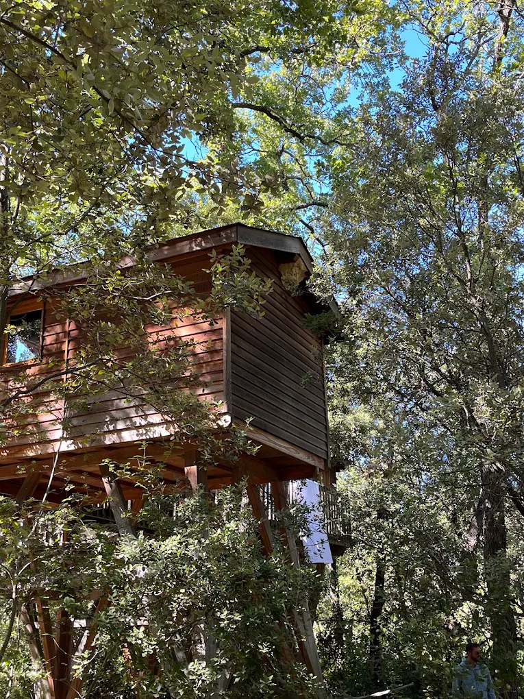 Destruction et traitement préventif d'une cabane en bois contre les nids de guêpes dans le Vaucluse